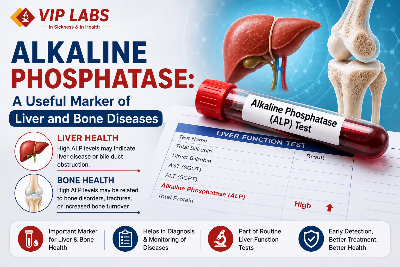 Alkaline Phosphatase: A useful marker of liver and bone diseases